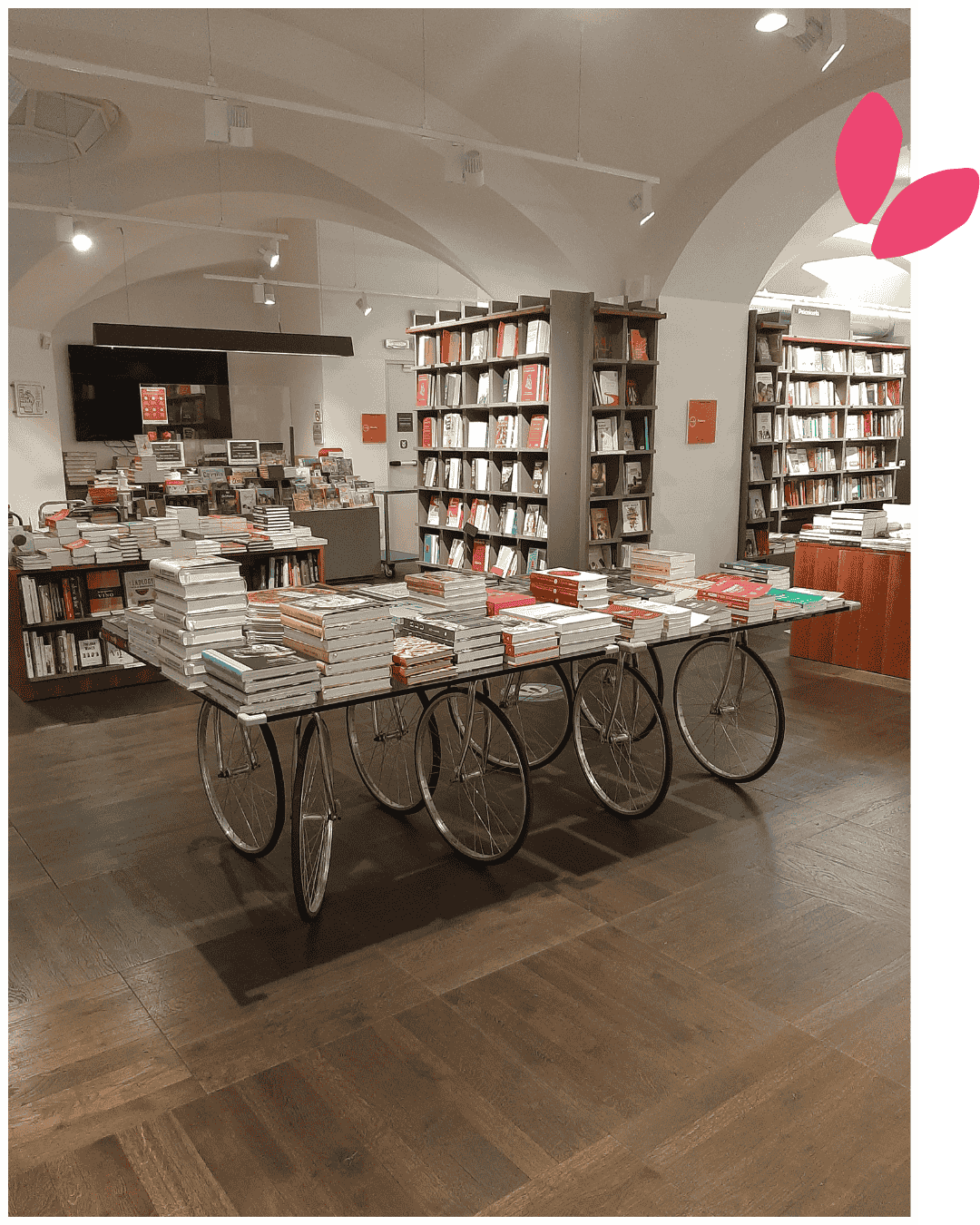 Contact - Solène Marivain