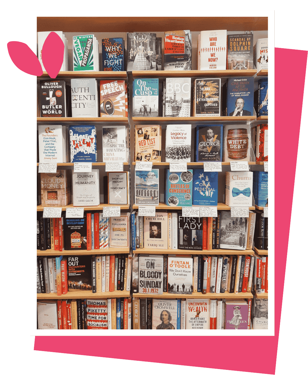 Surdiffusion ce que je propose - Solène Marivain